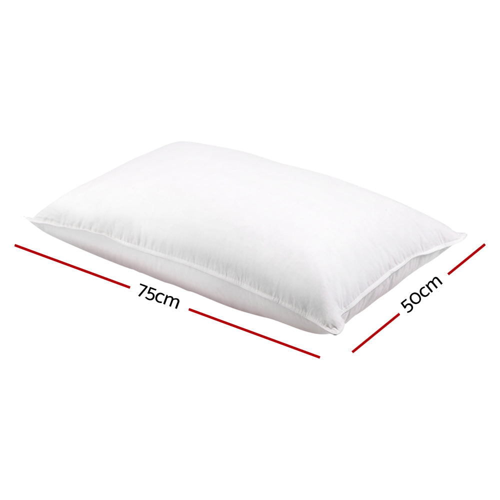 Goose/Down Feather - 2 pack pillow